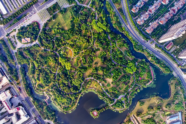 1705471865216054416.jpg 845da59a23bea01ae59ede878f1a4bf.jpg