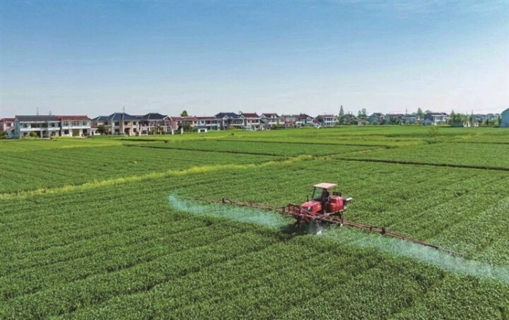 1706152596283026643.jpg df325ef7-1a1b-4d42-ad76-e077fd573a95.jpg