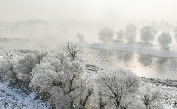 1704851864689089008.jpg 659cffe1a3105f211c851ef9_副本.jpg