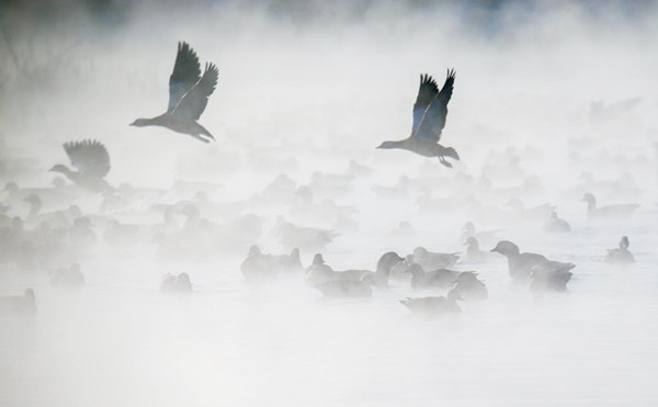 1704851918106054585.jpg 659cffe1a3105f211c851efd_副本.jpg