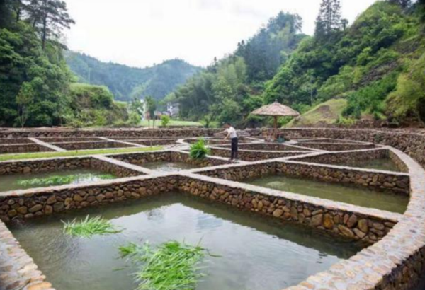 1706250607075011503.png 山泉水养鱼_副本.png