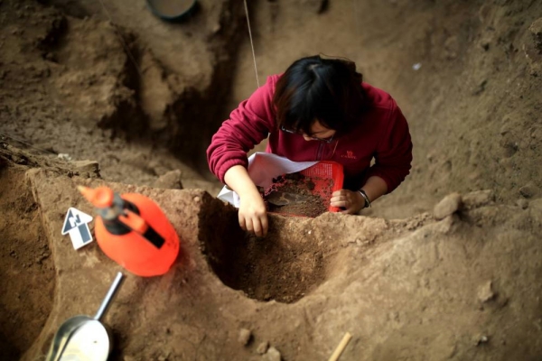 1705311791862056087.jpg 00304554417_adb75c25.jpg