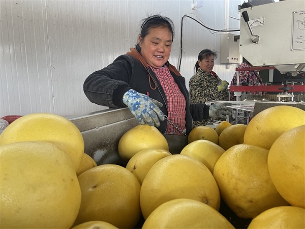 1704877799735004033.jpg 1704532537544715.jpg