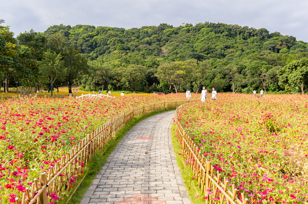 1708393535616030991.png The Innovation Park..png