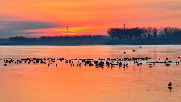 1709801468546050376.jpg taian1.jpg