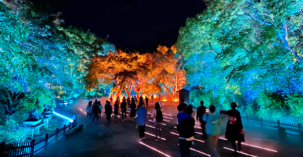 1709016671481078607.jpg 00304565349_22cc015e_副本.jpg