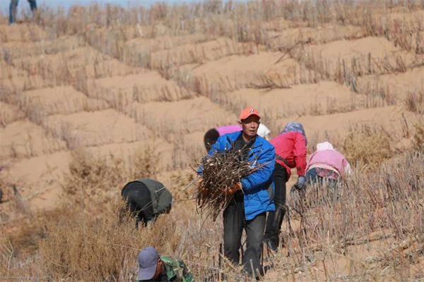 1711964368853022637.jpg 图片1.jpg