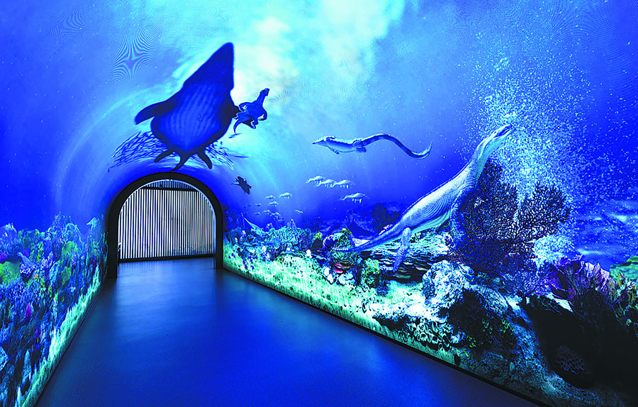 1709776182280035987.jpeg 1709776182280035987.jpeg