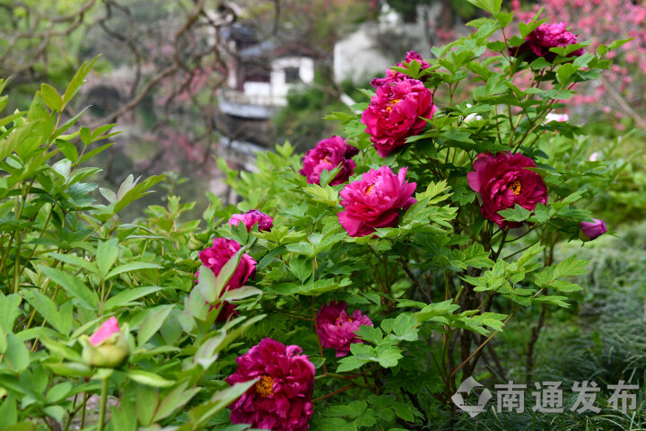 1712821246381055845.jpg wm_50675808731732044_0f26f629-e997-4b1a-9325-4b6265517b42.jpg