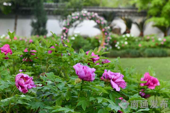 1712821254504029163.jpg wm_50675809776670703_a24163c0-fc8a-4224-b267-89ea48f7def8.jpg