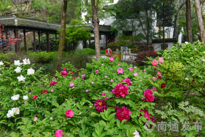 1712821267632041448.jpg wm_50675813140894654_867a4dc0-5ff3-4d1c-b9ee-04205f0a723b.jpg