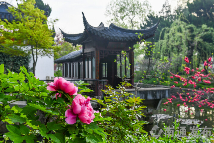 1712821274912055941.jpg wm_50675812584771256_9476056a-9c69-4174-99b5-7f2d4834d83d.jpg