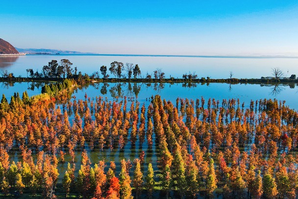 Discover the stunning beauty of Dianchi Lake through the lens of photographers