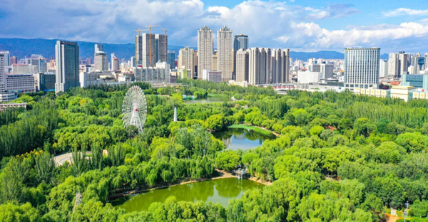 1713927581808029279.png 80200444_bb48e0b1-bd0b-4275-b39a-9abc42ee794dcopy_副本.png