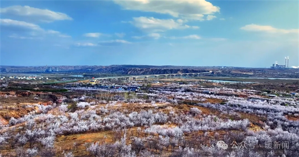 1712726187831047385.jpg 640_wx_fmt=png&from=appmsg&tp=webp&wxfrom=5&wx_lazy=1&wx_co=1.webp (2).jpg