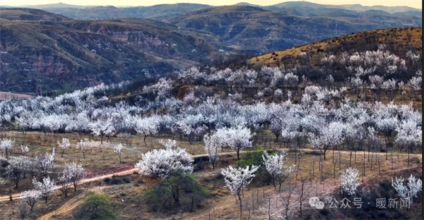 1712726207739022226.jpg 640_wx_fmt=png&from=appmsg&tp=webp&wxfrom=5&wx_lazy=1&wx_co=1.webp (3).jpg