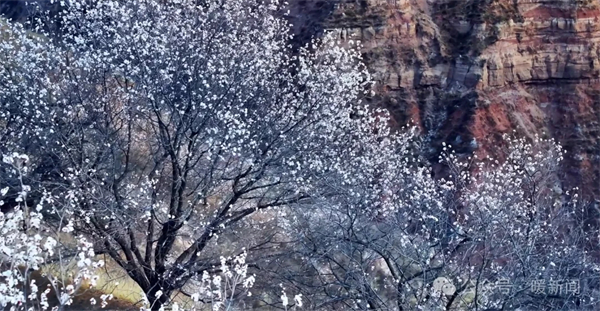 1712726225691078360.jpg 640_wx_fmt=png&from=appmsg&tp=webp&wxfrom=5&wx_lazy=1&wx_co=1.webp (4).jpg