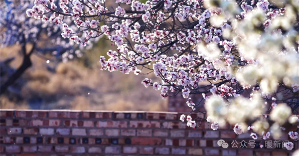 1712726237252086089.jpg 640_wx_fmt=png&from=appmsg&tp=webp&wxfrom=5&wx_lazy=1&wx_co=1.webp (5).jpg