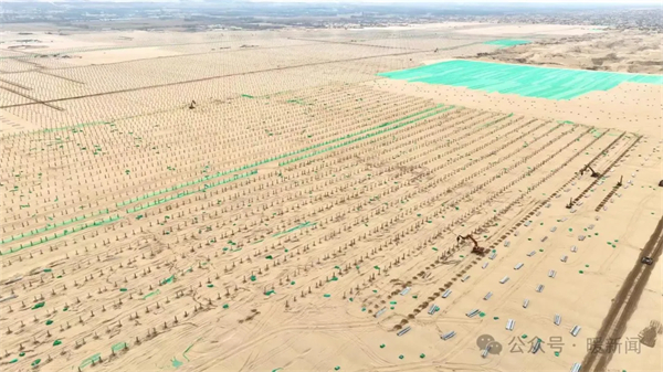 1713344143178048065.jpg 图片30.jpg