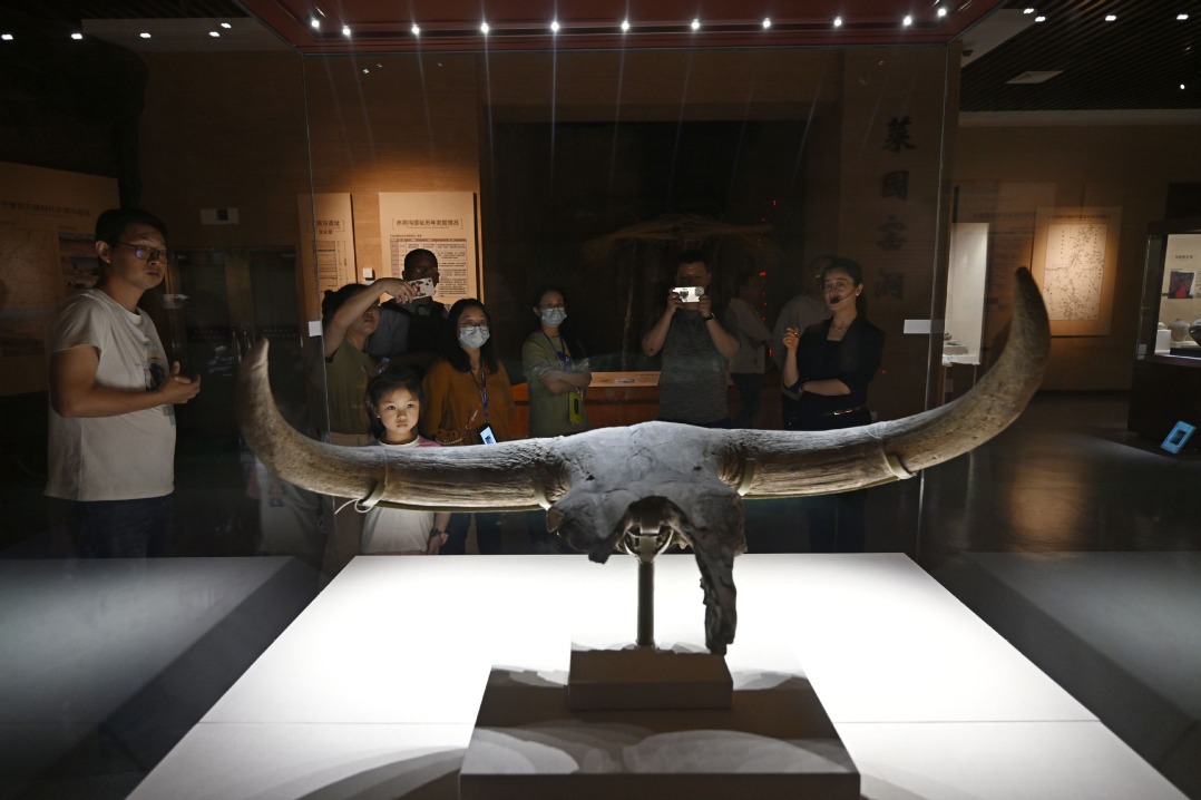 Museum visits gaining popularity among young people