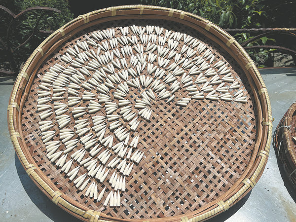 1716865515324075407.jpeg 6655415aa31082fc2b6ed02c.jpeg