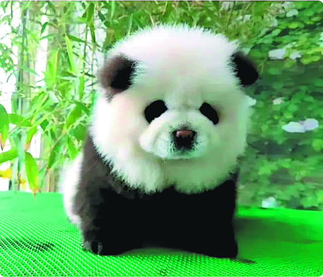 1716290350751084227.jpeg taizhou.jpeg