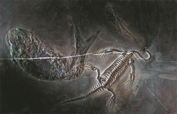 1715072596233088607.jpeg 66359961a31082fc2b6d409d.jpeg