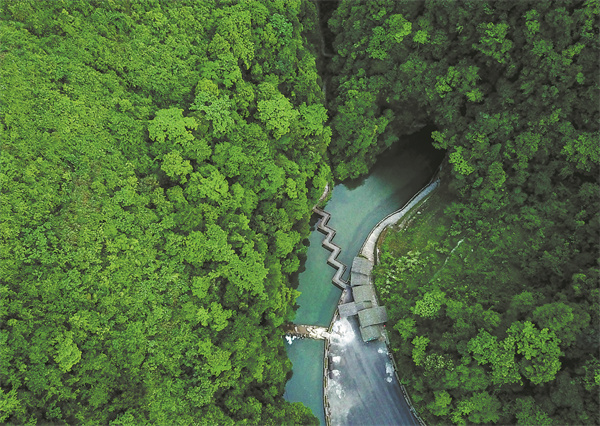 1714980033277058729.jpeg 66359992a31082fc2b6d40b9.jpeg