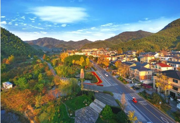 1717745922329017874.jpg 3_副本.jpg