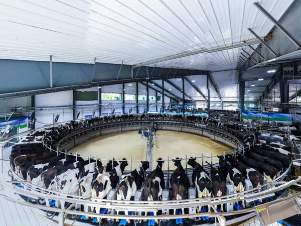 1719385143150073193.jpg 图片2_副本.jpg