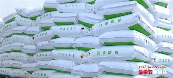 1718875654683036353.jpg taian2.webp.jpg