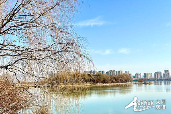 1712126595109045240.jpg 13197225_5a5e3c50-aa50-4e5a-ac97-afb7e28a919a.jpg