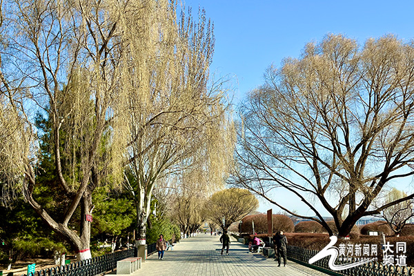 1712126603547079313.jpg 13197225_a48c35aa-4a0e-4b30-a0b3-75ad57cc5f82.jpg