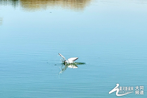 1712126611892006533.jpg 13197225_7ea32ca3-2eea-4202-aad7-33ad8c41387c.jpg