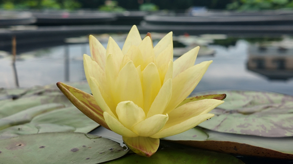 1719308335139037330.jpg 11_副本.jpg