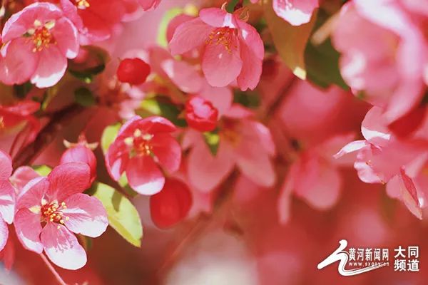 1712821025226029212.jpeg 13202650_dd7184fb-3a98-4b6d-b5e7-07f8435d1674.jpeg