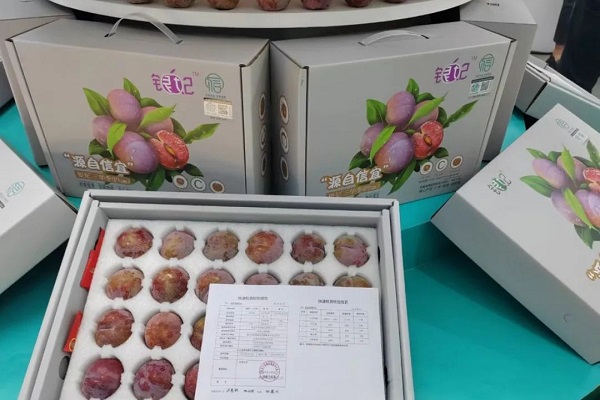 1704779127900069225.jpg 7.jpg