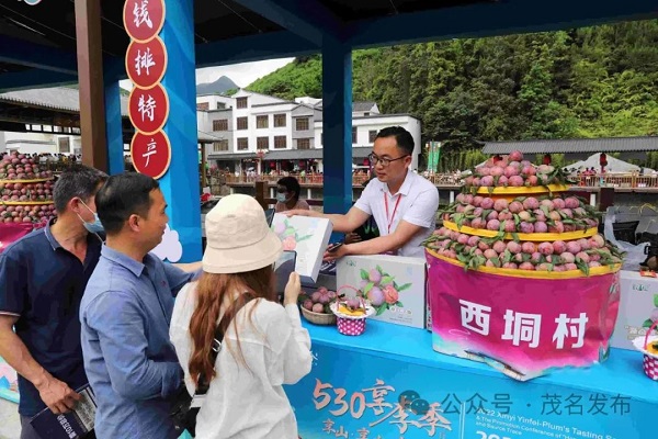 1704779138013047339.jpg 8.jpg