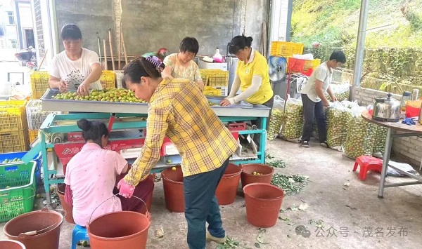 1715304711054096852.jpg 1.jpg