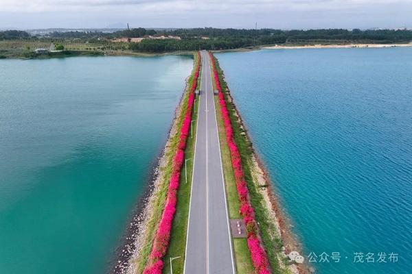 1712567531813055052.jpg 3.jpg