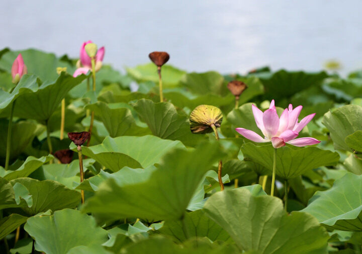 1721896306846053188.jpg b113d9e9-454b-466b-9af5-b96efc23447f.jpg