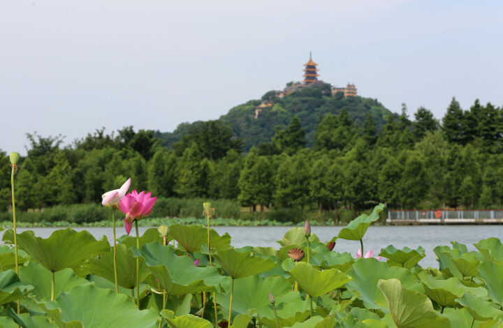 1721896325582069685.jpg 879fb5ba-a760-407c-9c2a-d9f12ab11fd0.jpg