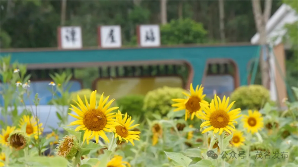 1722501814498002023.jpg 茂名1.jpg