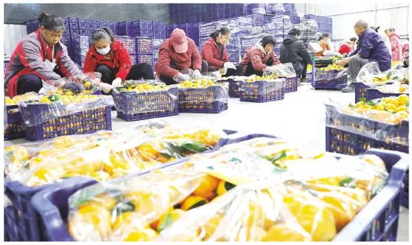 1704878877770017668.jpg 11.jpg