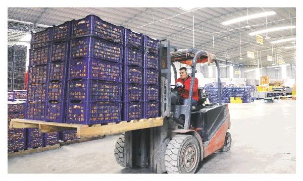 1704878888883065943.jpg 12.jpg