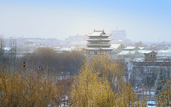 1703233370245021482.jpg b730dc48bbde966d80eb4a3b79981a3(1)_副本.jpg