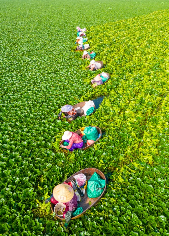 1724902111706086058.jpg 微信截图_20240829101715.jpg