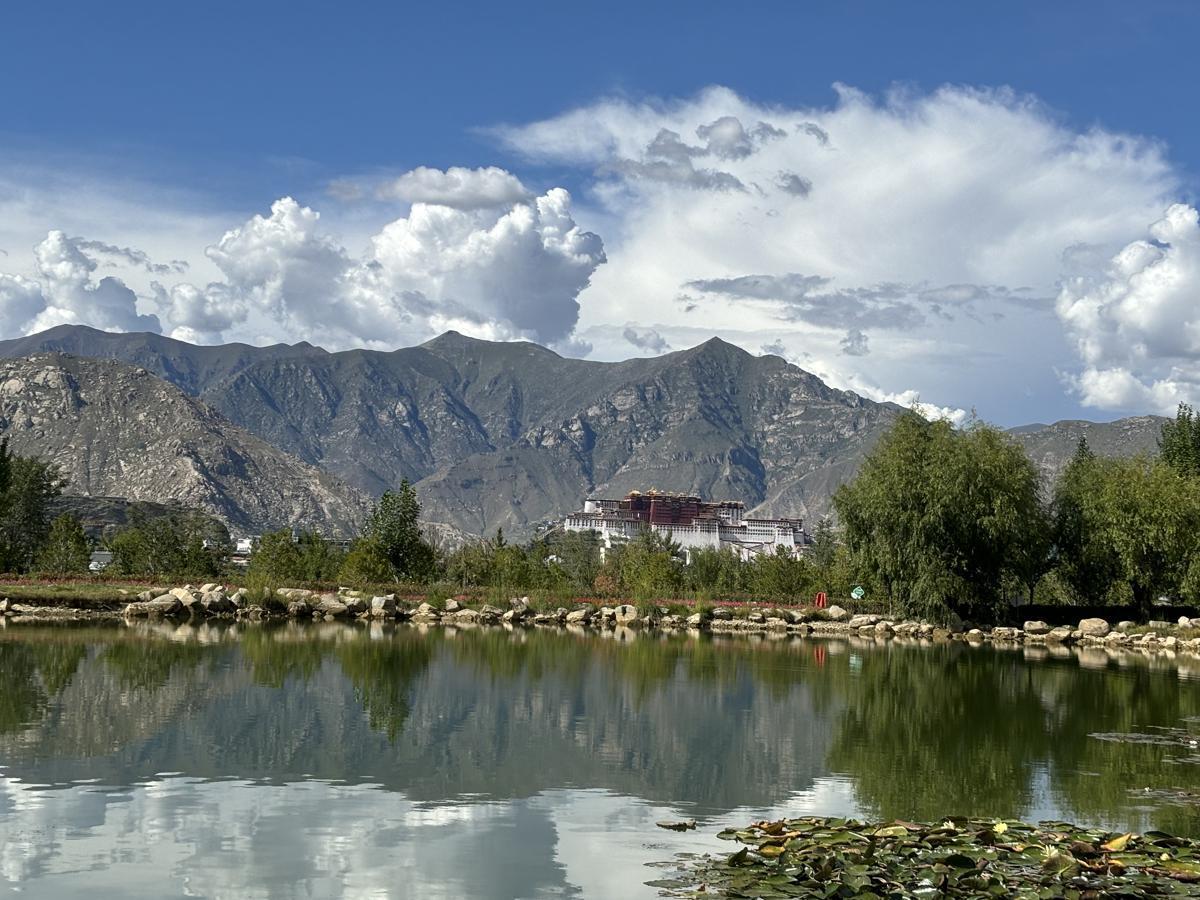 1725332806244036844.jpeg 1.jpeg