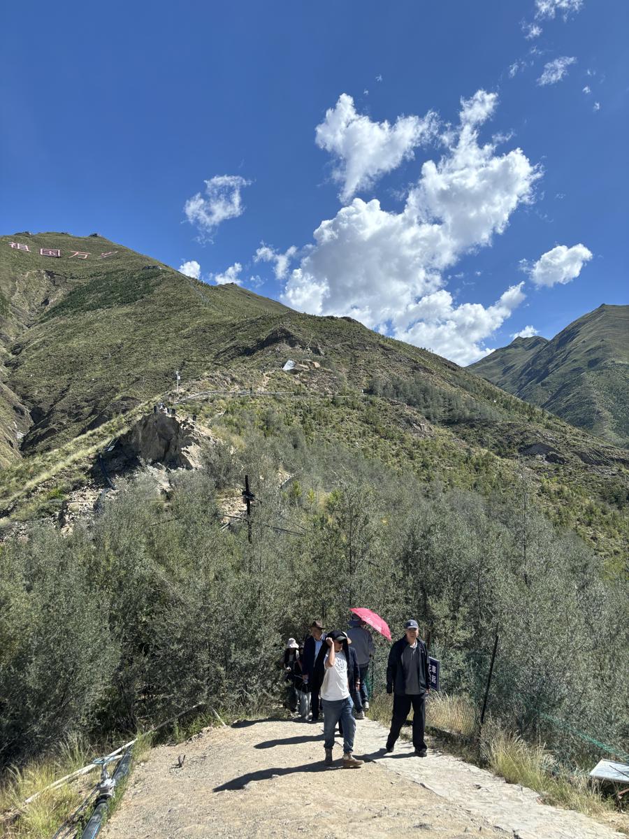 1725332824523057204.jpeg 3.jpeg