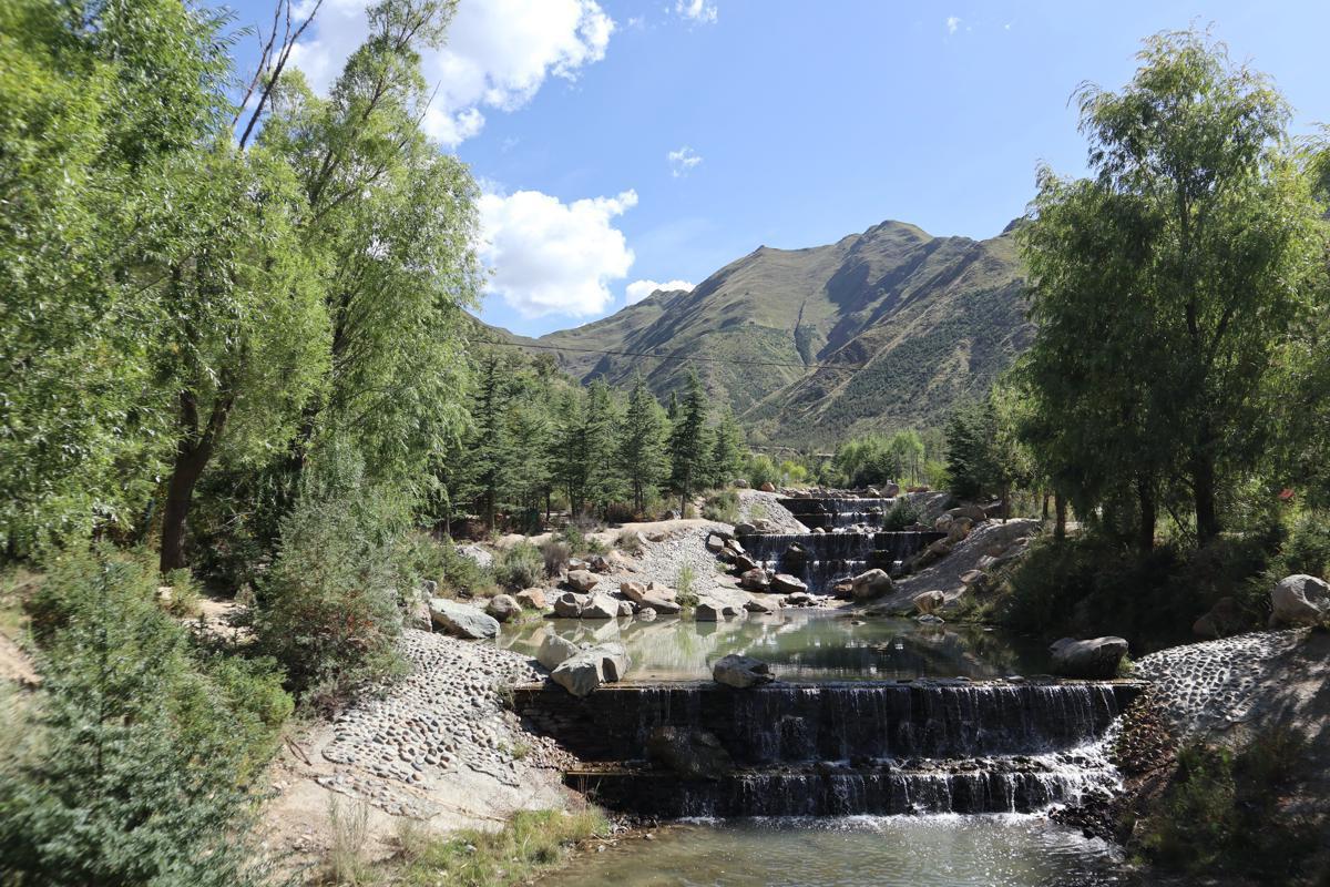 1725332831411066250.jpeg 4.jpeg